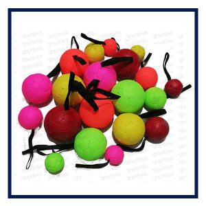 Dog Training Balls