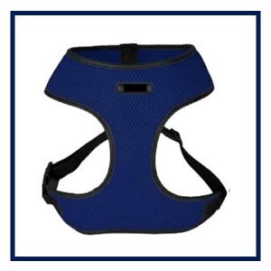 Harness